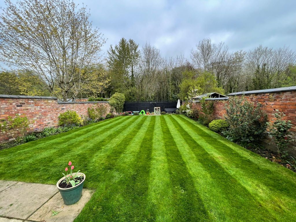 Striped garden lawn