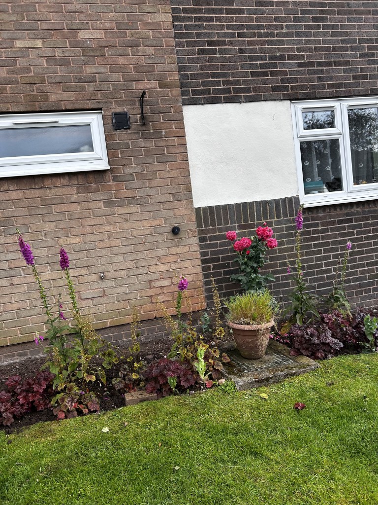 image of a flower bed maintained by greenspace grounds maintenance, in staffordshire and the midlands 
