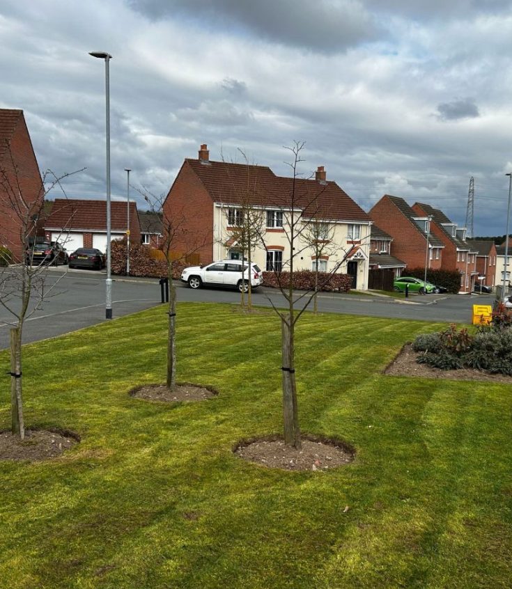 Image of a public open space on a new build site in the midlands, maintained by Green space grounds maintenance.