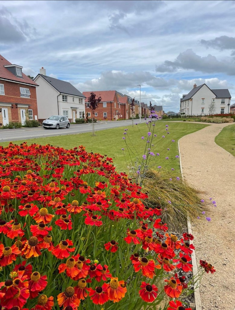 Image of a public open space on a new build site in the midlands, maintained by Green space grounds maintenance. 