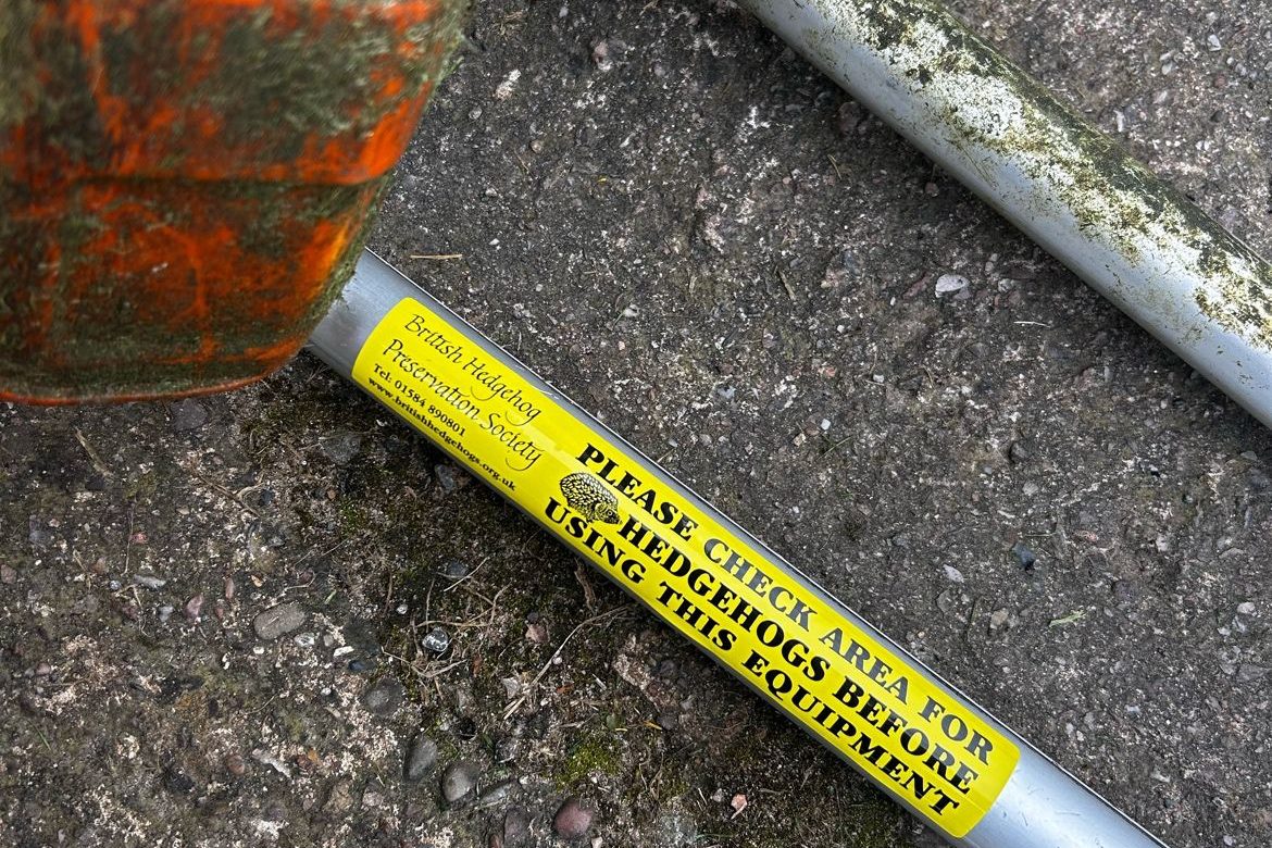 image of wildlife and environmental commitments by green space grounds maintenance