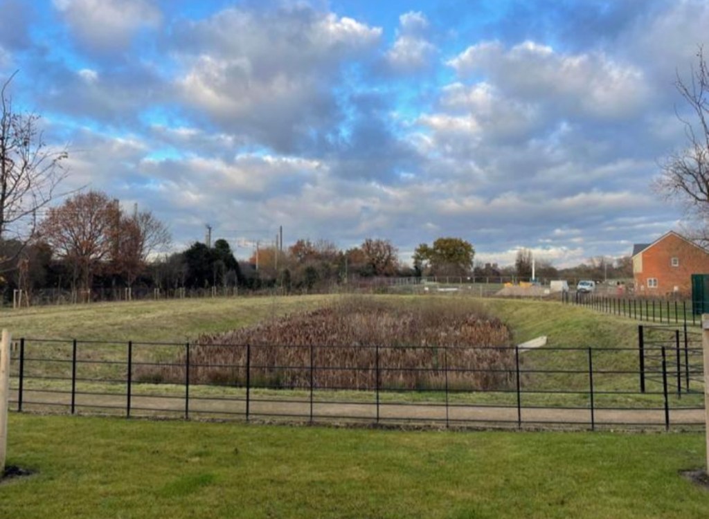 image of a maintained SUDs by green space grounds maintenace