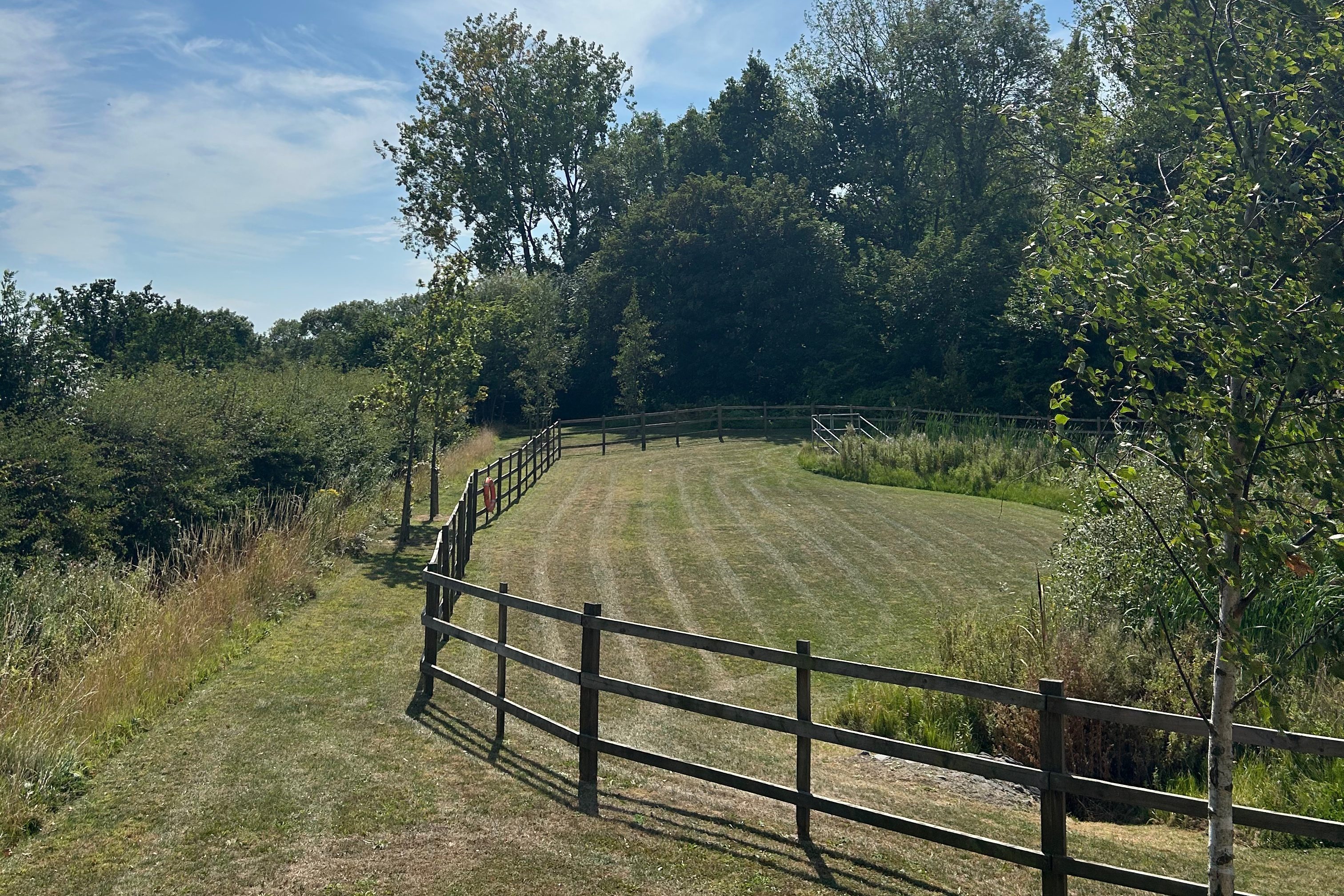 image of SuDS maintained by green space grounds maintenance