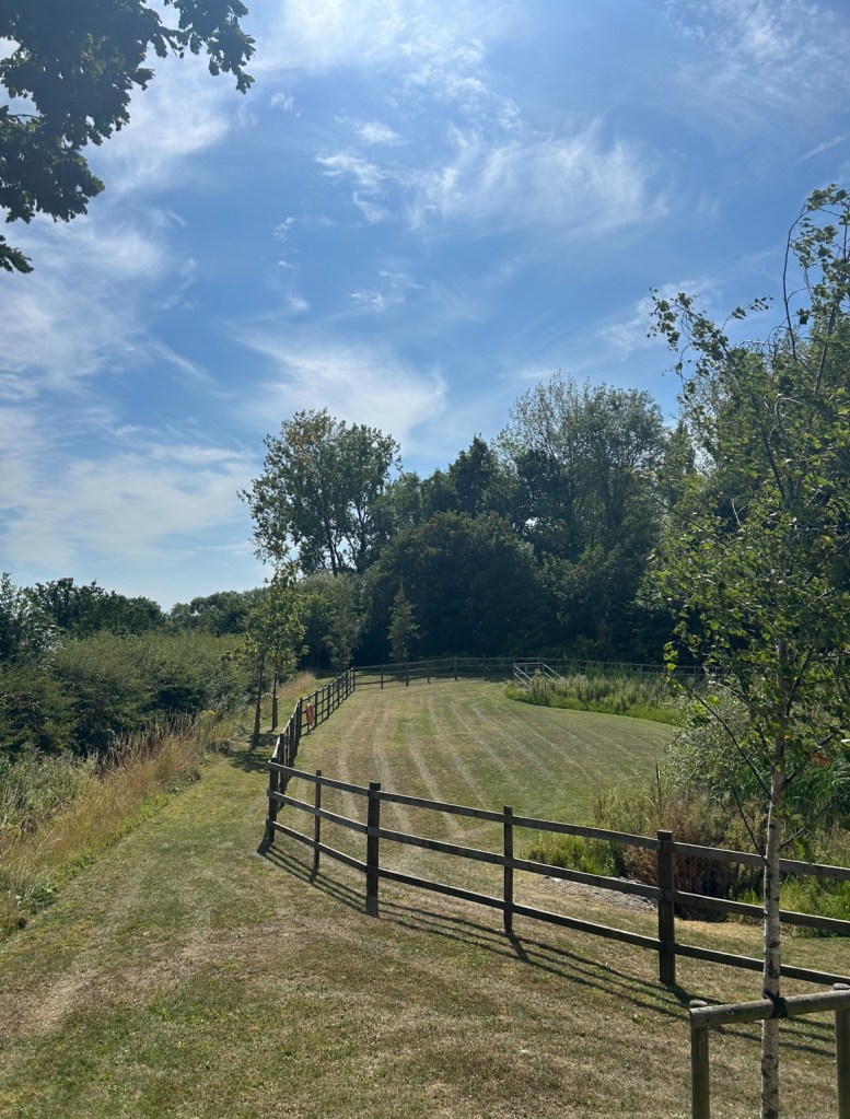 An SUDs maintained by Green Space Grounds Maintenance
