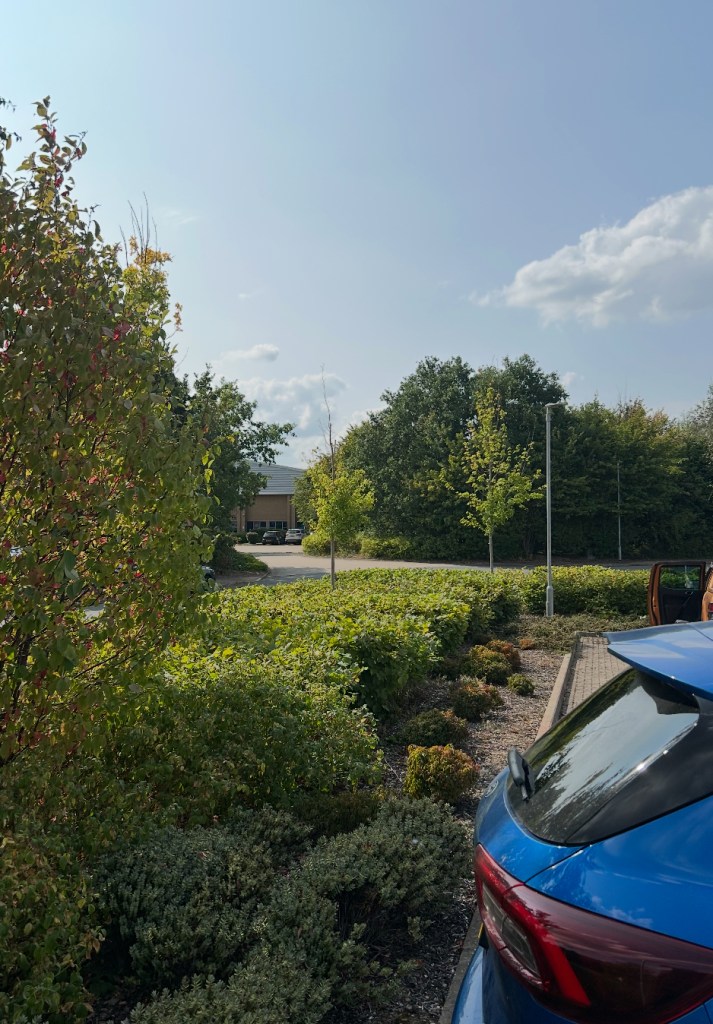 A business and industrial site maintained by Green Space Grounds Maintenance